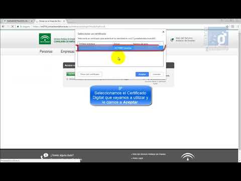 Informe sobre los periodos de inscripción como demandante de empleo