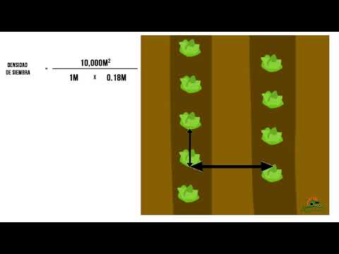 Cómo calcular el valor de un tractor usado en 10 pasos