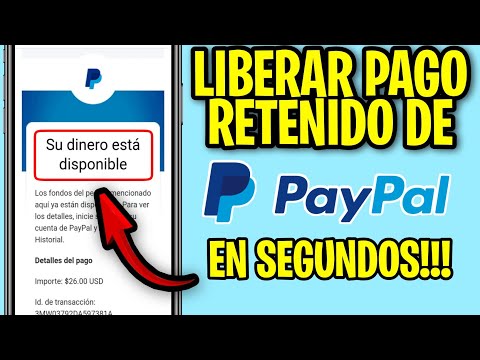 Cómo liberar el dinero retenido en PayPal: una guía útil