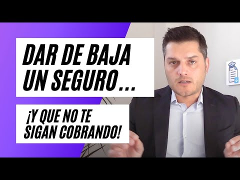 ¿Te devuelven el dinero si das de baja un seguro?