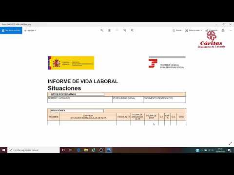 Cómo leer la vida laboral: una guía para entenderla.